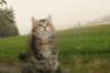 img_2756_small.jpg