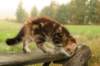 img_2761_small.jpg
