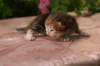 img_3621_small.jpg