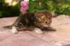img_3624_small.jpg