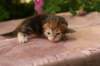 img_3627_small.jpg