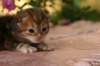 img_3629_small.jpg