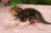 img_3632_small.jpg