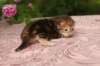 img_3639_small.jpg