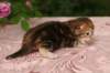 img_3645_small.jpg
