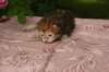 img_3653_small.jpg