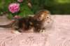 img_3661_small.jpg