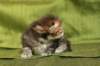 joonaboyimg_5492_small.jpg