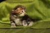joonaboyimg_5530_small.jpg