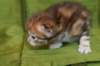 joosuaimg_5345_small.jpg