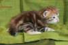 joosuaimg_5356_small.jpg