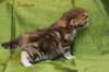 joosuaimg_5359_small.jpg