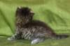 juuliaimg_5565_small.jpg
