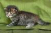 juuliaimg_5568_small.jpg