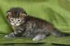 juuliaimg_5573_small.jpg