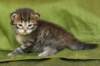 juuliaimg_5576_small.jpg