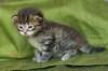 juuliaimg_5591_small.jpg