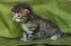 juuliaimg_5596_small.jpg