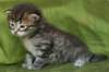 juuliaimg_5597_small.jpg