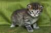 juuliaimg_5602_small.jpg