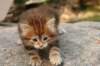 img_7291_small.jpg
