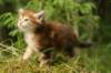 img_7564_small.jpg