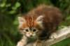 img_7609_small.jpg