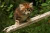 img_7617_small.jpg
