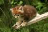 img_7622_small.jpg
