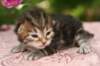 img_3791_small.jpg