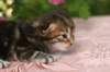 img_3802_small.jpg