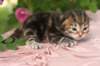 img_3805_small.jpg