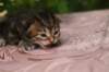 img_3809_small.jpg