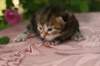 img_3812_small.jpg