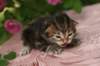 img_3814_small.jpg