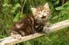 img_7373_small.jpg