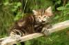 img_7377_small.jpg