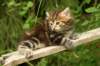 img_7378_small.jpg