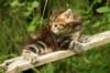 img_7379_small.jpg