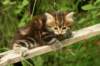 img_7386_small.jpg