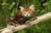 img_7388_small.jpg
