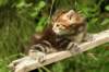 img_7390_small.jpg