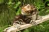 img_7391_small.jpg