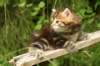 img_7396_small.jpg
