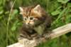 img_7422_small.jpg