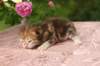 img_3721_small.jpg