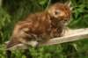 img_7522_small.jpg
