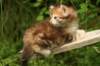 img_7529_small.jpg