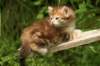 img_7530_small.jpg