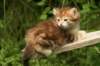 img_7532_small.jpg